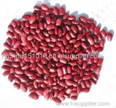 red kidney bean beans