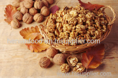 Walnut & Walnut Kernel