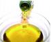 Crude Refined rapeseed oil