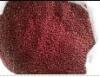 red broom millet red