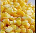 whole sweet corn sweet corn