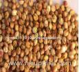 organic sorghum rice with grade one