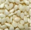 organic nature white sesame