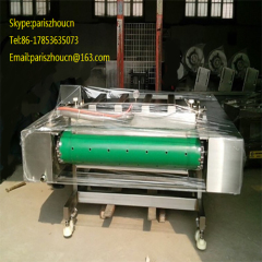 Automatic continuous vacuum packaging machine