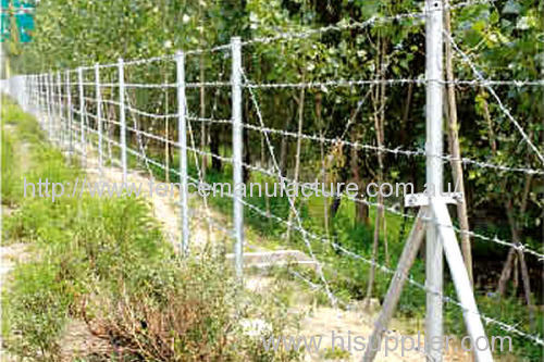 Barbed Wire Fence fencing