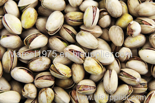 Quality Pistachios Nuts / Raw and Roasted