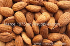 DRIED AND PROCESSED ALMOND NUTS
