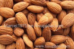 Quality Almonds nuts and kernels in stock