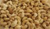 Cashew Nuts without Shell