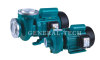 Electric Centrifugal water pump