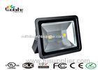 80 Watt COB LED Flood Light Outdoor Security Lighting Aluminum Housing 50HZ 60HZ