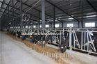 Poultry Farm Building Structure