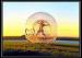 Huge Rolling Bubble Ball Inflatable Hamster Ball In Sunshine