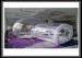 0.8mm Clear PVC Outdoor Inflatable Bubble House with Tunnel