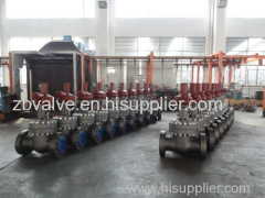 Gate Valve/Manual Isolation Valve