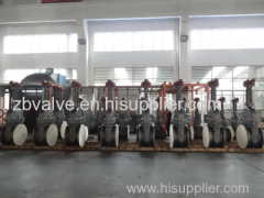 Gate Valve/Manual Isolation Valve