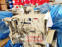 QSM11-335 genuine cummins engine