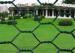 2 inch Woven PVC Coated Rabbit Wire Netting With Low Carbon Steel 3/4'' Galvanized