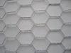 Profeessional 1 Inch Galvanized Hexagonal Wire Mesh Netting For Rabbit Cage