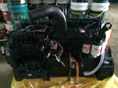 6CTA8.3-C175 cummins engine genuine