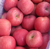 china red green apple cheap good price good exellent quality