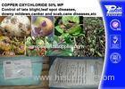 Foliar Fungicide Copper Oxychloride 50% WP Agricultural Fungicides