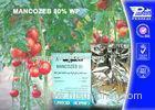 Mancozeb 80% Wp Systemic Fungicides Cas 8018-01-7 Fungicide Products