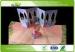 Full Color Snappy Pop Up Books with Embossing / Debossing / Varnish Surface