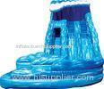 PVC Kids Commercial Inflatable Slides Largest Inflatable Water Slide