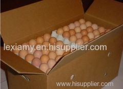 best fresh quality eggs