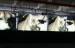 Custom G5 SMD 3 In 1 Outdoor LED Monitor / p6 LED Display Sreen IP65