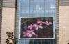Aluminum Module GM6 Outdoor LED Advertising Screens 160 160mm Size