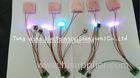 Beautiful Lights 2 Colorful LED And 1 Button Flashing sound chip for toys