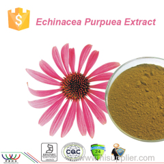 Natural Echinacea purpurea extract