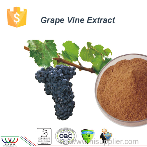 antioxidant resveratrol grape extract