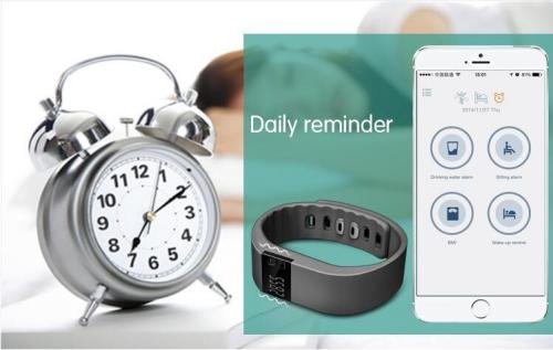 Calorie Burning Management Bluetooth Smart Bracelet