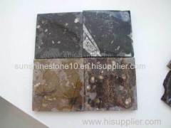 Grey fossil marble wall tile