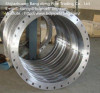 stainless steel butt weld flange