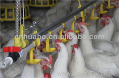 Huabo automatic chicken nipple drinker for poultry equipment
