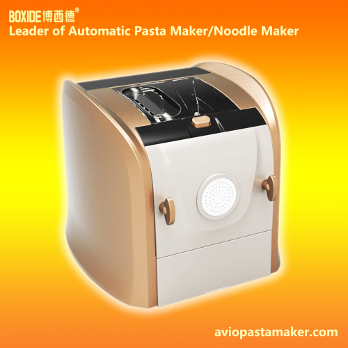 Electric 180W Pasta Maker Machine Automatic Noodle Maker w/11