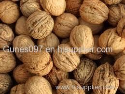 Shelled Walnuts for sale