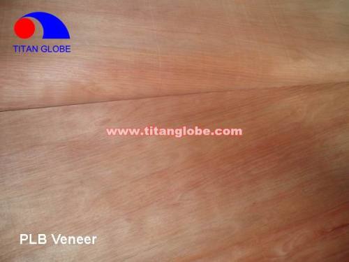 Natural Wood Veneer For Plywood / Cheap Hardwood Veneer / MLH Veneer - Titan Globe