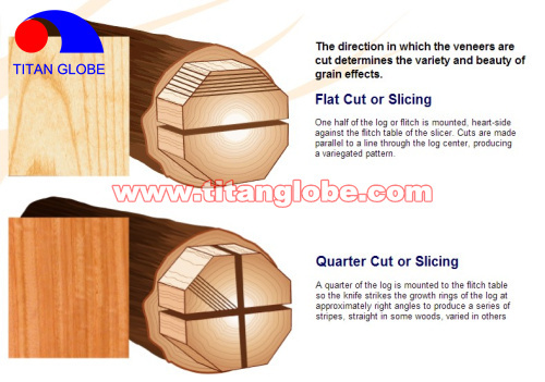 Natural Wood Veneer For Plywood / Cheap Hardwood Veneer / MLH Veneer - Titan Globe