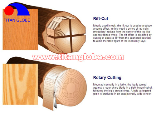 Natural Wood Veneer For Plywood / Cheap Hardwood Veneer / MLH Veneer - Titan Globe