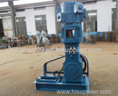 WLW Vertical Oilless Vacuum Pump