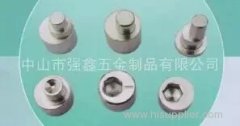 SS304 hex socket eccentric pin