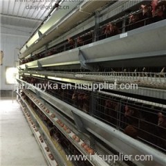 Layer Chicken House Product Product Product
