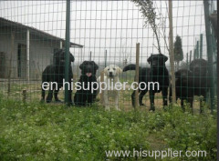 euro fence wire mesh/holland wire mesh euro fencing