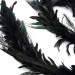 Feather Garland w/Schlappen-Peacock In stock