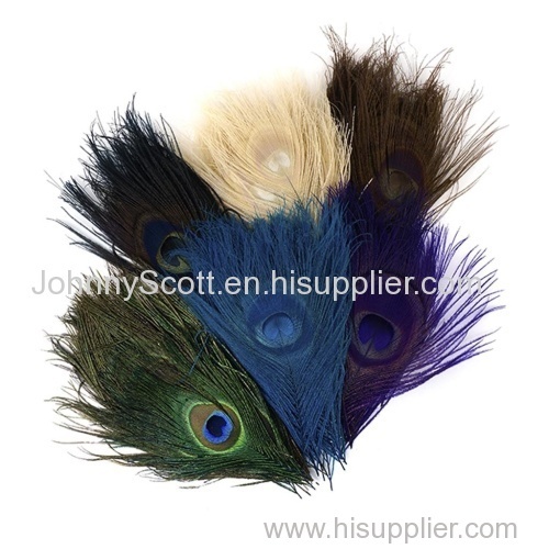 Available in Stock natural Peacock Feather Eyes Assorted - Assorted Mix